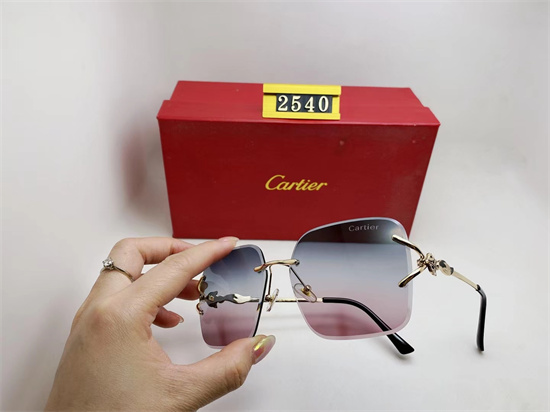 Cartier Sunglass A 035